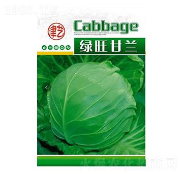甘藍(lán)種子-綠旺甘藍(lán)-邯豐農(nóng)業(yè)