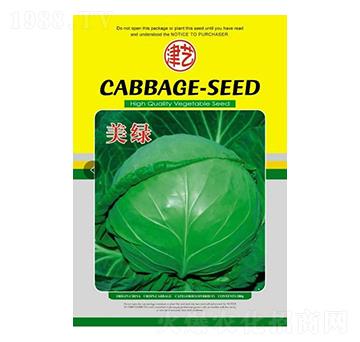 甘藍(lán)種子-美綠-邯豐農(nóng)業(yè)