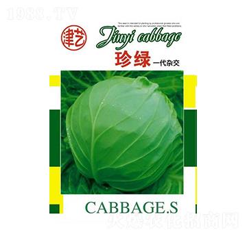 甘藍(lán)種子-珍綠-邯豐農(nóng)業(yè)