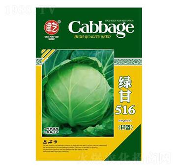 甘藍種子-綠甘516-邯豐農(nóng)業(yè)