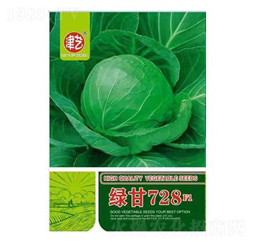 甘藍(lán)種子-綠甘728-邯豐農(nóng)業(yè)