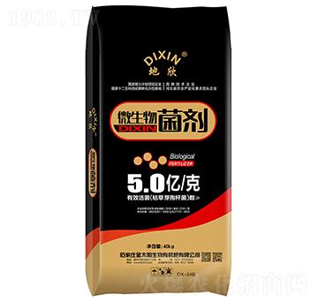 ΢�������-����-��̫�