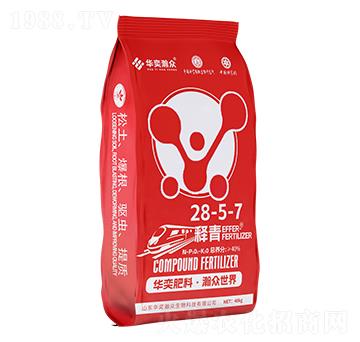 ���25-5-7-�A��嫱�