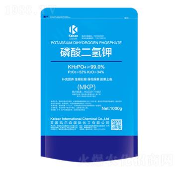 ��������-�P��ɭ-����Ƽ�