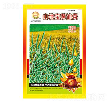 油菜種子-山地寶黃油菜-太樂(lè)種業(yè)
