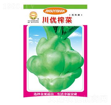 榨菜種子-川優(yōu)榨菜-太樂種業(yè)