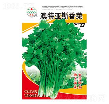 菠菜種子-澳特亞斯菠菜-太樂(lè)種業(yè)