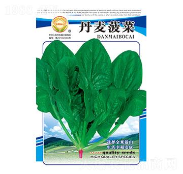 菠菜種子-丹麥菠菜-太樂種業(yè)