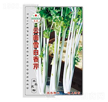 云南雪白香芹-太樂種業(yè)