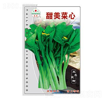 甜美菜心-太樂種業(yè)