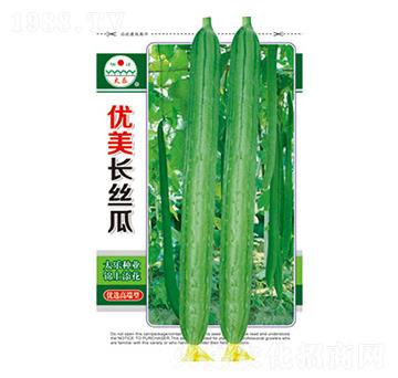 絲瓜種子-優(yōu)美長(zhǎng)絲瓜-太樂(lè)種業(yè)