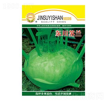 苤蘭種子-東川苤蘭-太樂種業(yè)