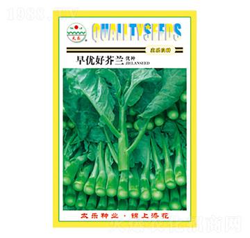 芥蘭種子-早優(yōu)好芥蘭-太樂種業(yè)