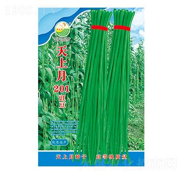 豇豆種子-天上月201-太樂種業(yè)