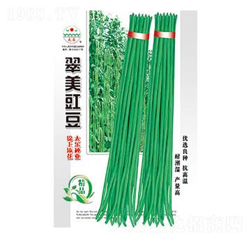 豇豆種子-翠美豇豆-太樂種業(yè)