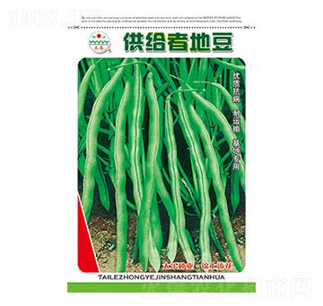 豇豆種子-供給者地豆-太樂種業(yè)