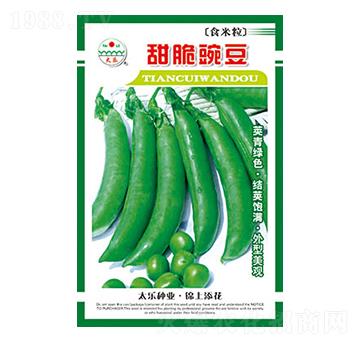 �㶹�N��-����㶹-̫��(l��)�N�I(y��)