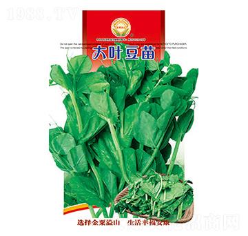 ���~����-̫���N�I(y��)