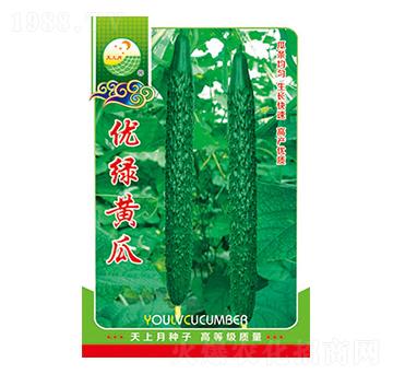 黃瓜種子-優(yōu)綠黃瓜-太樂種業(yè)