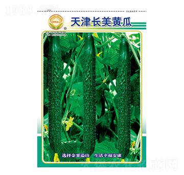 黃瓜種子-天津長美黃瓜-太樂種業(yè)