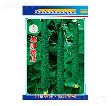 黃瓜種子-津帥黃瓜-太樂種業(yè)