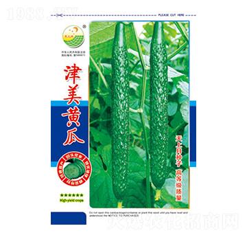 黃瓜種子-津美黃瓜-太樂種業(yè)