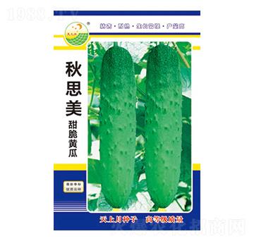 黃瓜種子-秋思美-太樂(lè)種業(yè)