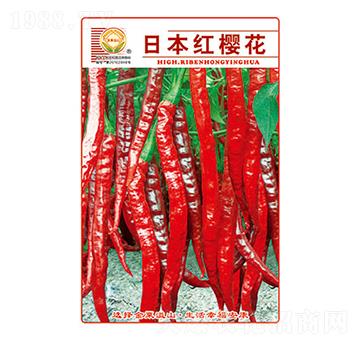 辣椒種子-日本紅櫻花-太樂種業(yè)