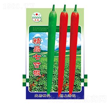 辣椒種子-精品七寸椒-太樂種業(yè)