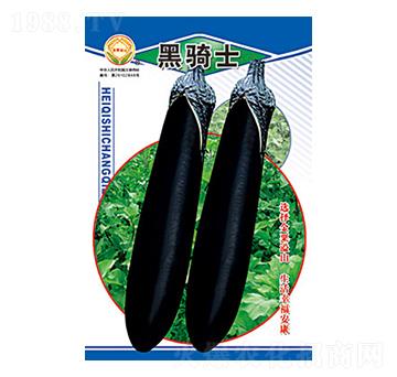 茄子種子-黑騎士-太樂種業(yè)