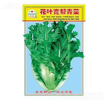 青菜種子-花葉寬幫青菜-太樂種業(yè)