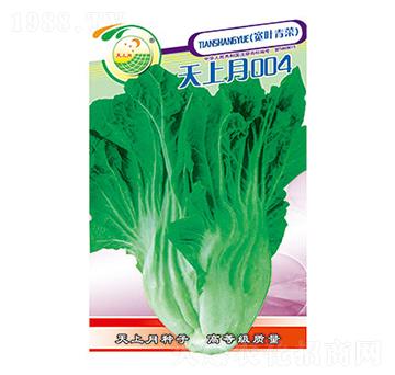 青菜種子-天上月004-太樂種業(yè)