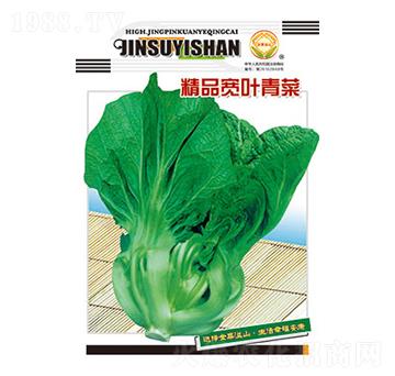青菜種子-精品寬葉青菜-太樂種業(yè)
