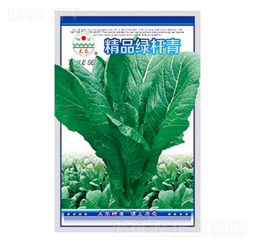 青菜種子-精品綠桿青-太樂種業(yè)