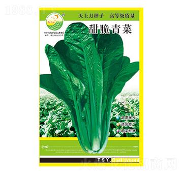 青菜種子-甜脆青菜-太樂種業(yè)