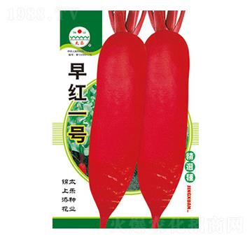 �}���N��-��tһ̖(h��o)-̫��(l��)�N�I(y��)