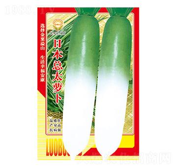 蘿卜種子-日本總太蘿卜-太樂種業(yè)