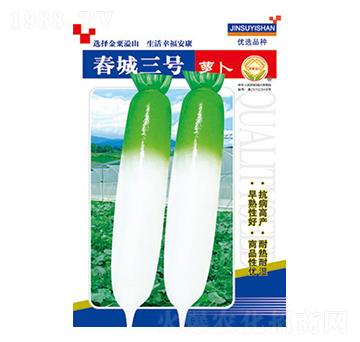 蘿卜種子-春城三號(hào)-太樂(lè)種業(yè)