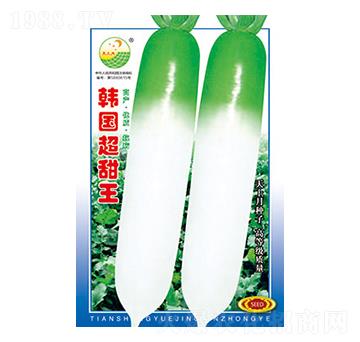 蘿卜種子-韓國超甜王-太樂種業(yè)