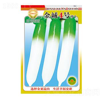 蘿卜種子-金誠4號-太樂種業(yè)