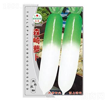 蘿卜種子-森崎蘿卜-太樂種業(yè)