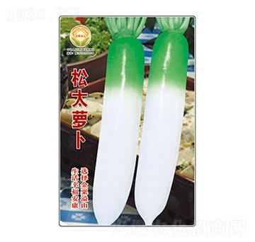蘿卜種子-松太蘿卜-太樂種業(yè)