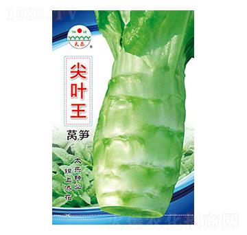 萵筍種子-尖葉王-太樂(lè)種業(yè)