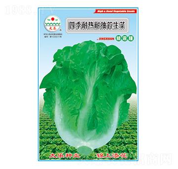 生菜種子-四季耐熱耐抽苔生菜-太樂種業(yè)