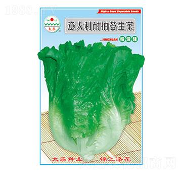 生菜種子-意大利耐抽苔生菜-太樂種業(yè)