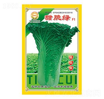 白菜種子-甜脆綠精品版-太樂種業(yè)