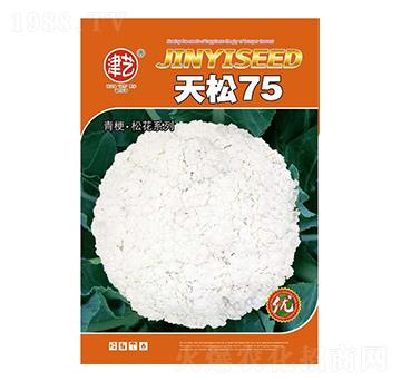 ���˷N��-����75-���S�r(n��ng)�I(y��)