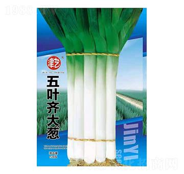 ���[�N��-���~�R���[-���S�r(n��ng)�I(y��)