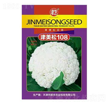 花菜種子-津美松108-邯豐農(nóng)業(yè)