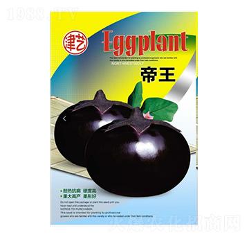 茄子種子-帝王-邯豐農(nóng)業(yè)